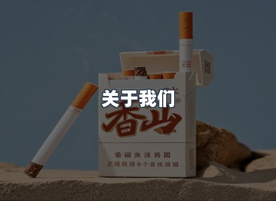 关于我们